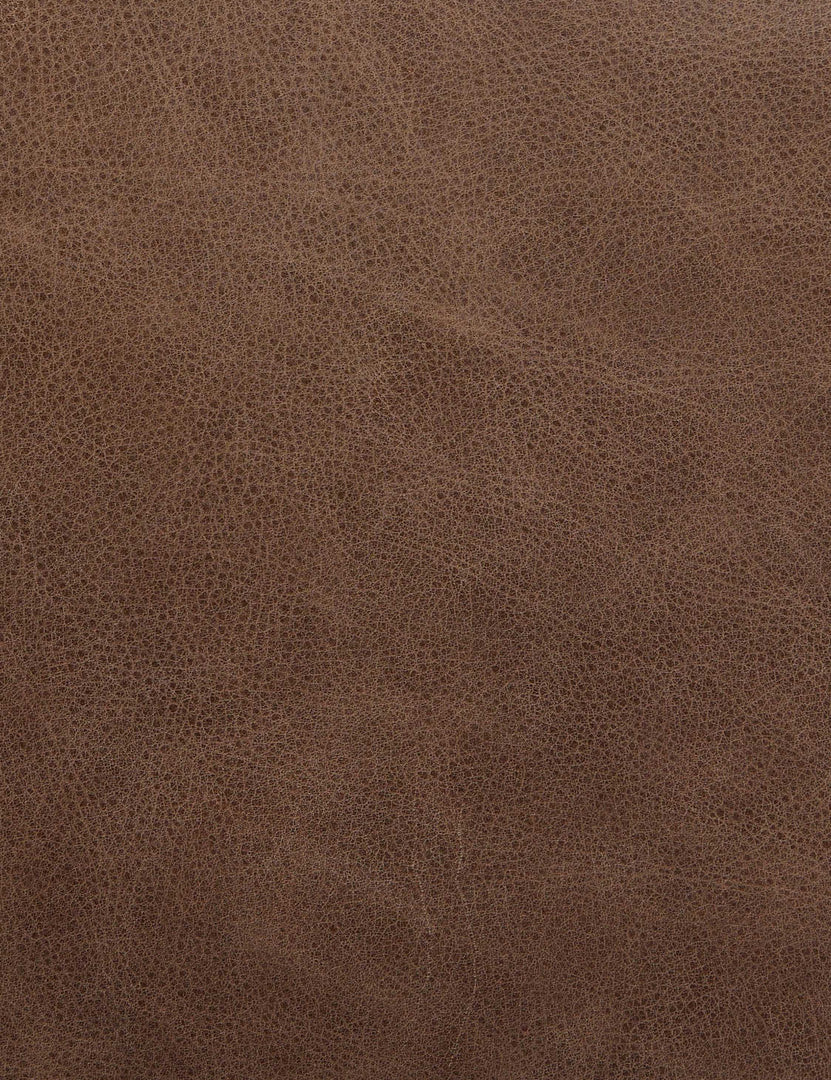 #color::brown