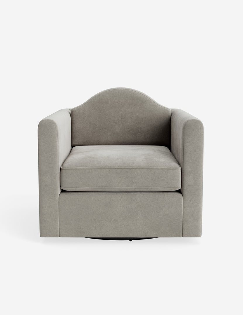 #color::platinum-vintage-velvet