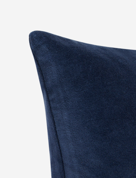 #color::true-blue #style::lumbar  #fill type::with-feather-down-insert  #fill type::pillow-cover-only |   Corner of Charlotte True Blue Lumbar Velvet Pillow