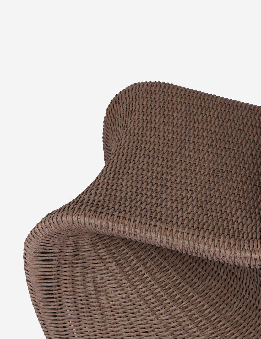 #color::brown