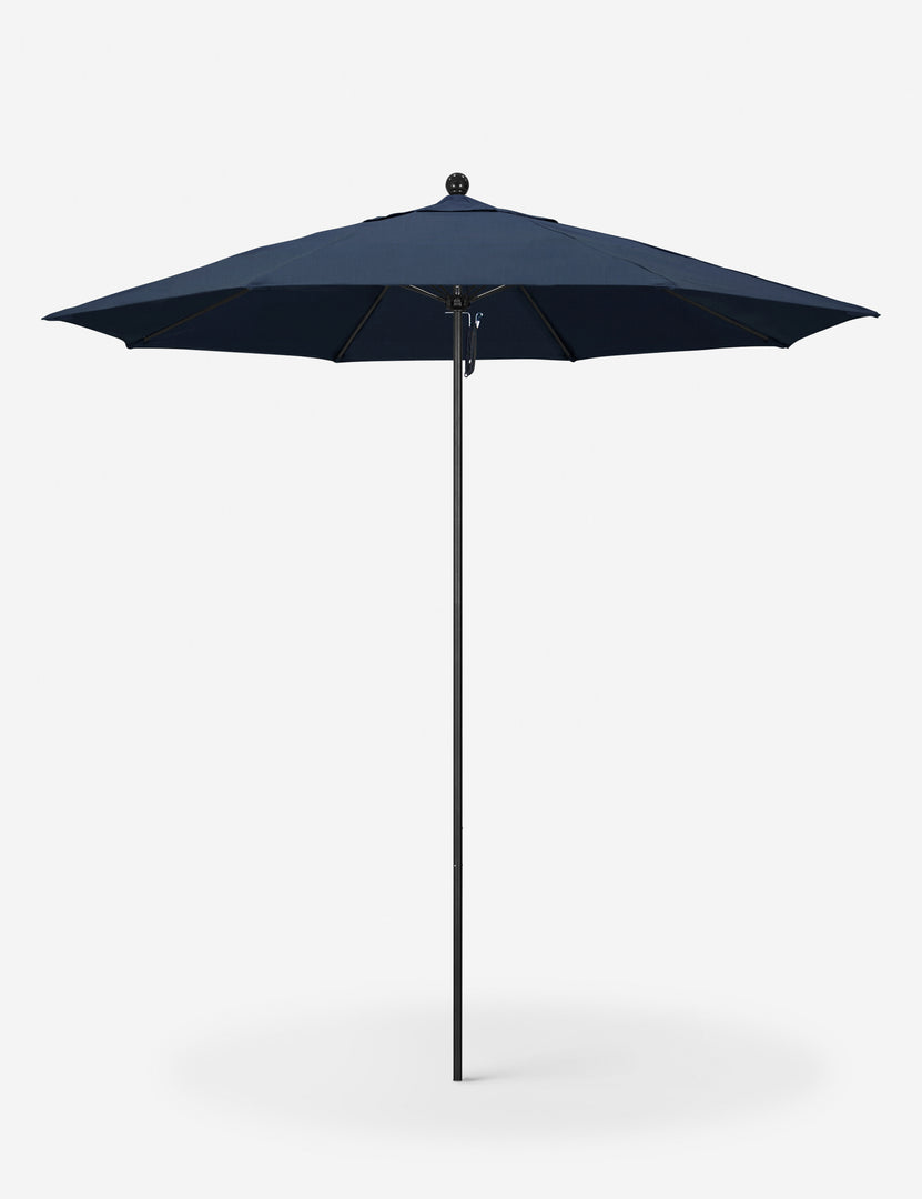 #color::indigo #finish::black