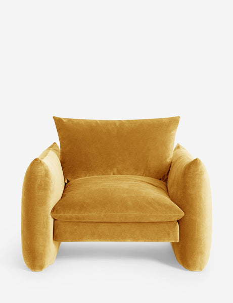 #color::goldenrod-plush-velvet