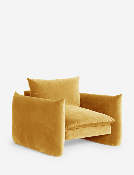 #color::goldenrod-plush-velvet