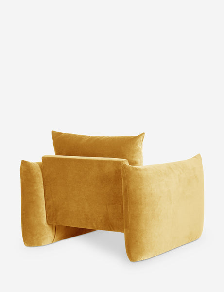 #color::goldenrod-plush-velvet