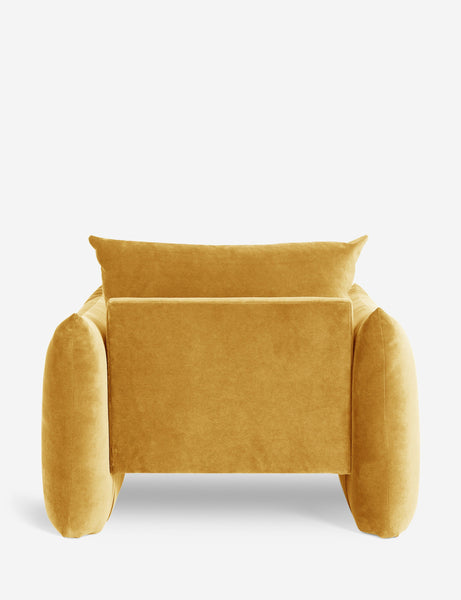 #color::goldenrod-plush-velvet