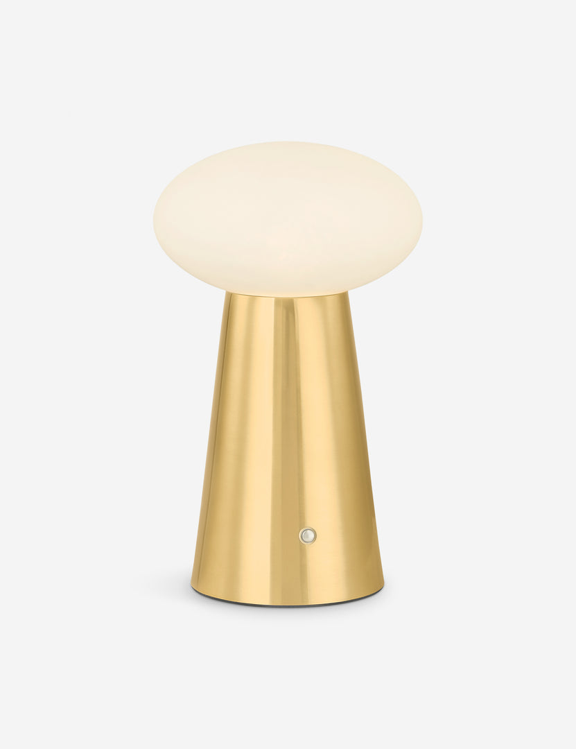 #color::antique-brass