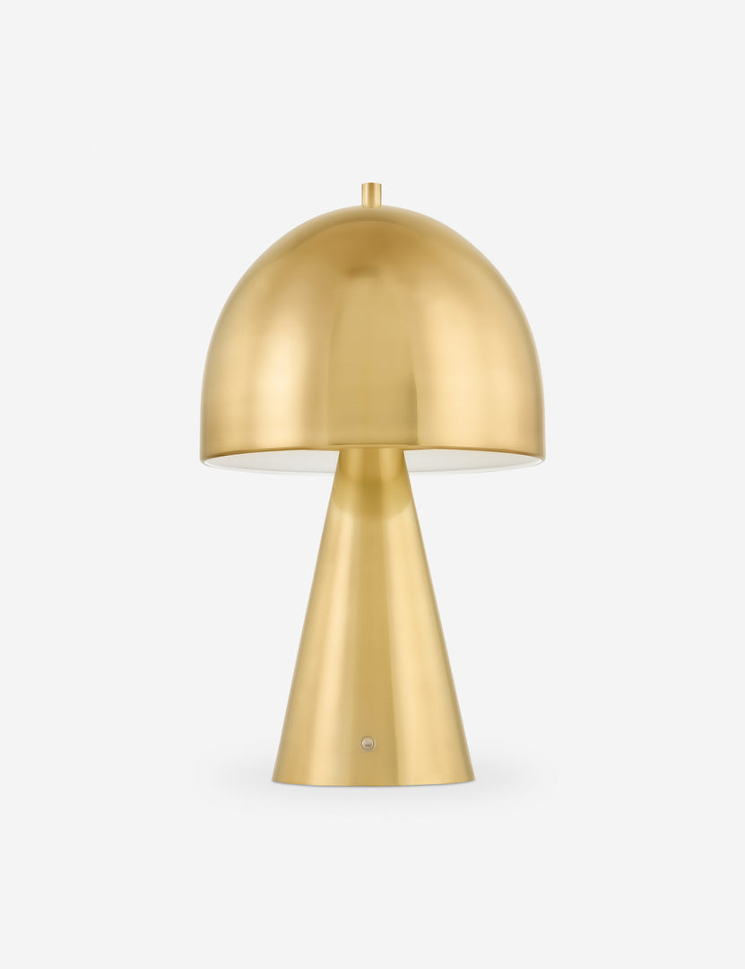 #color::antique-brass