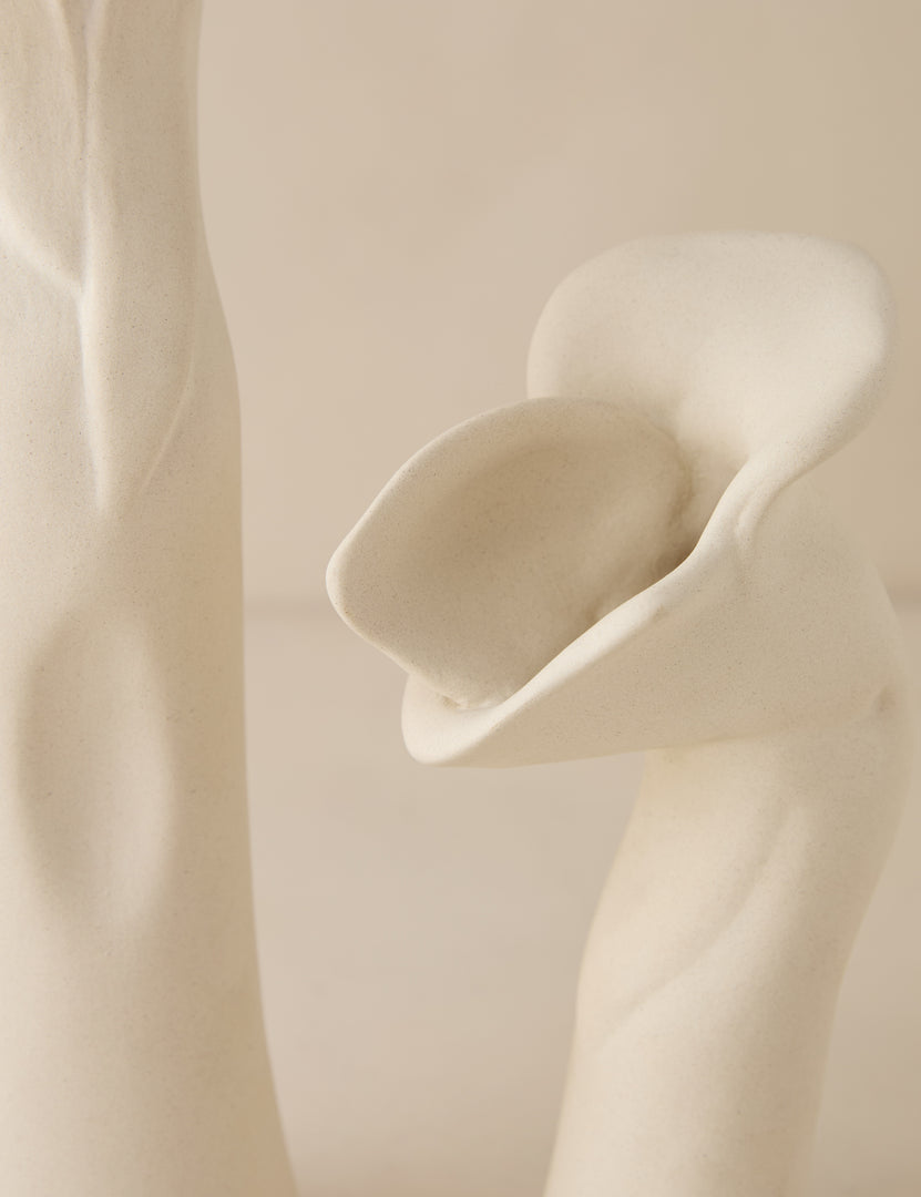 #color::ivory