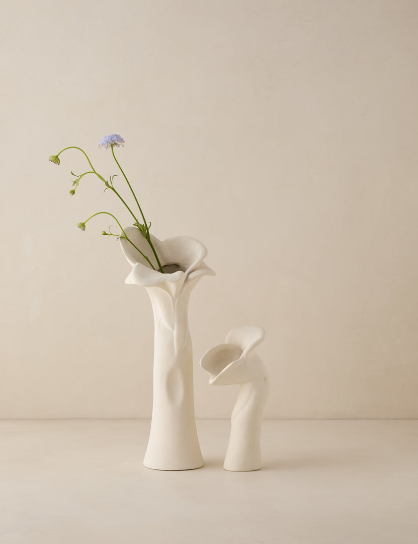 #color::ivory