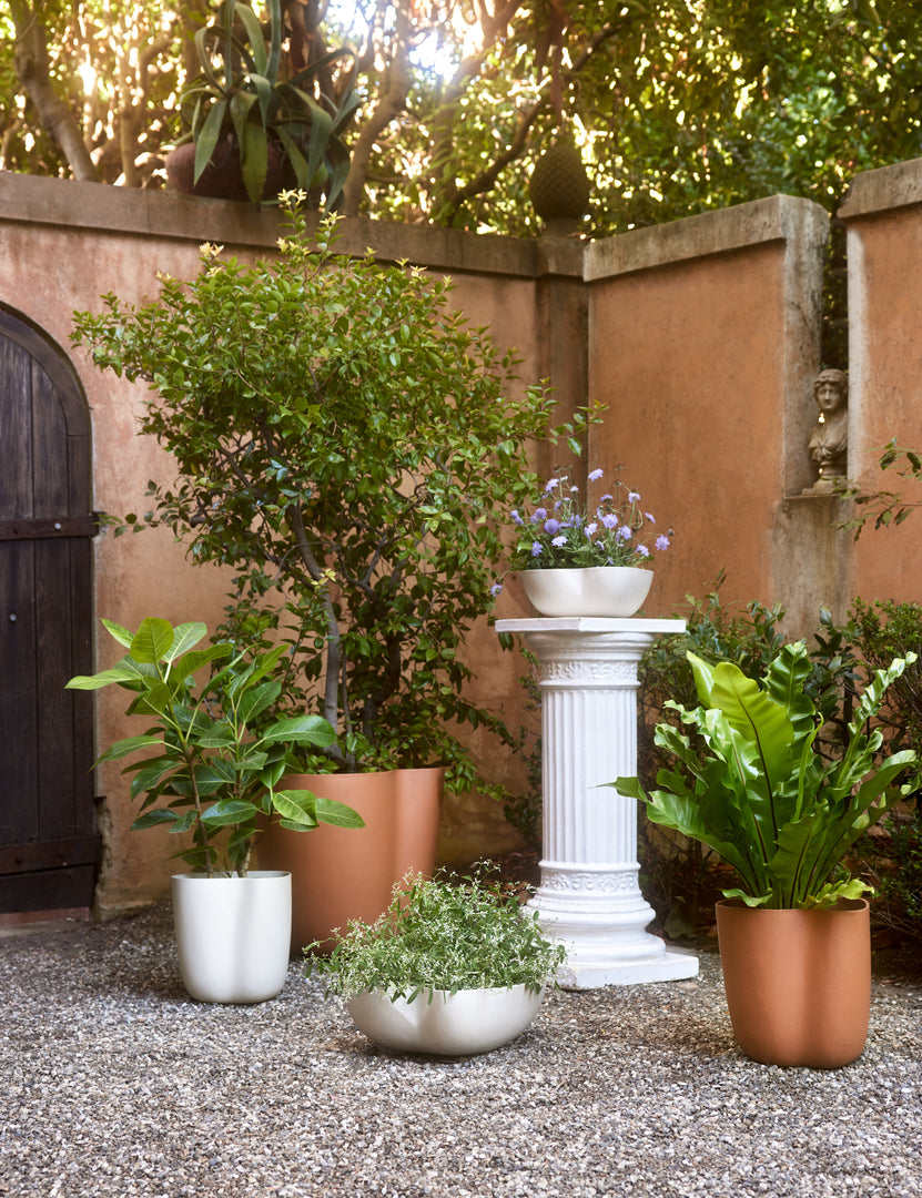 #color::eggshell #style::small