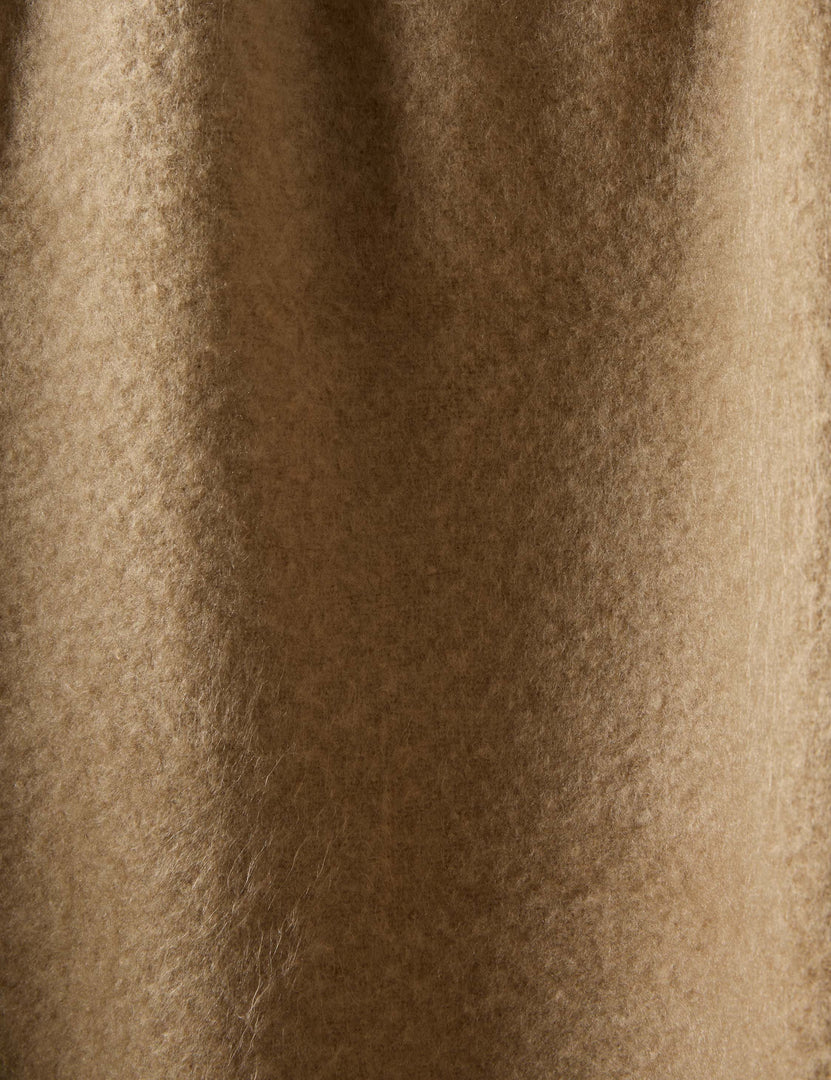 #color::latte