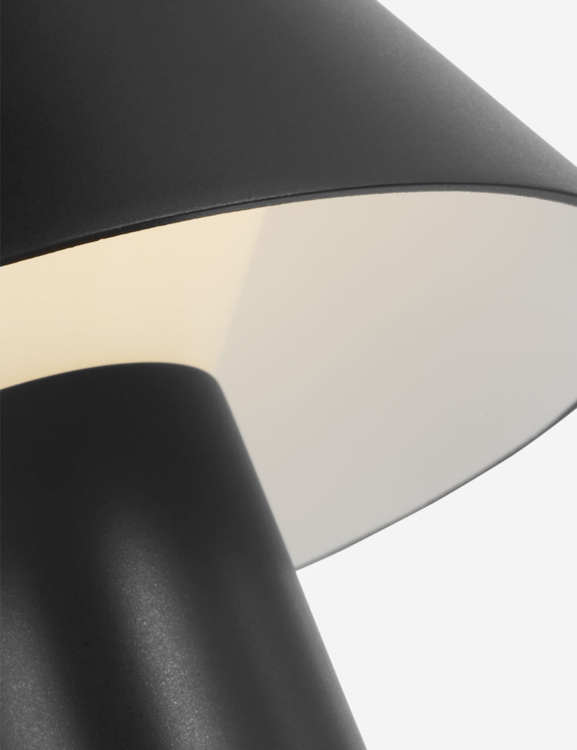 #color::black