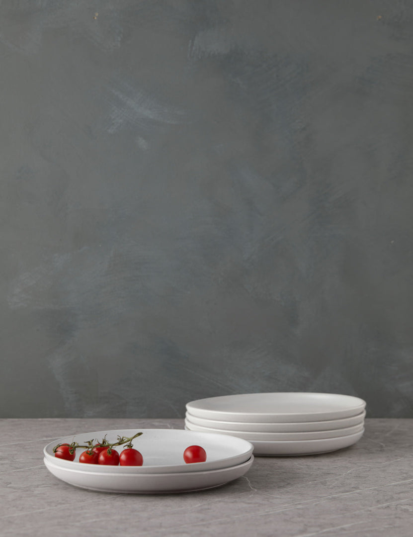 #color::salt #style::dinner-plates--set-of-6