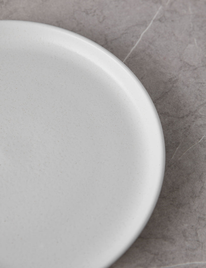 #color::salt #style::dinner-plates--set-of-6