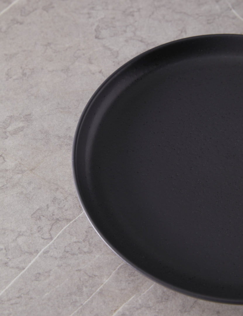 #color::gray #style::dinner-plates--set-of-6