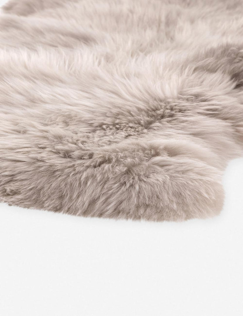 #color::light-gray