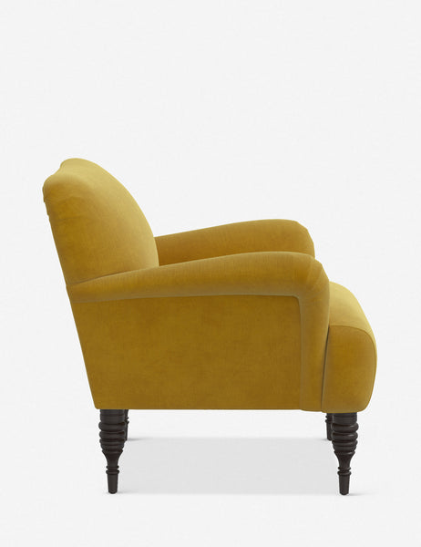 #color::citronella-velvet