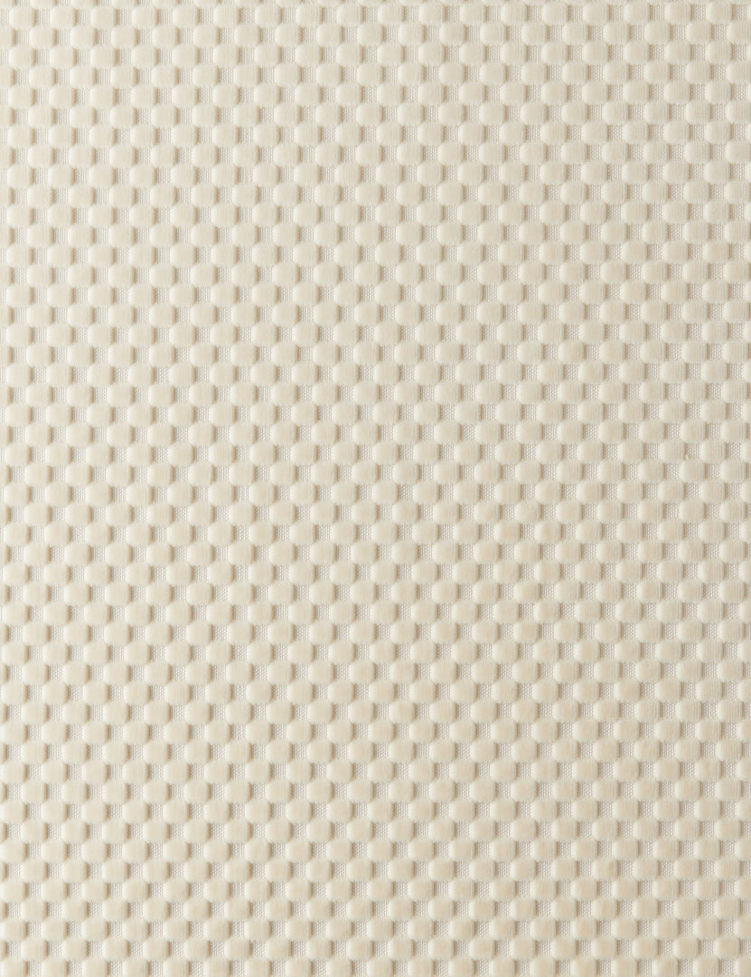 #color::ivory