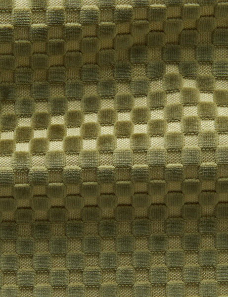 #color::olive